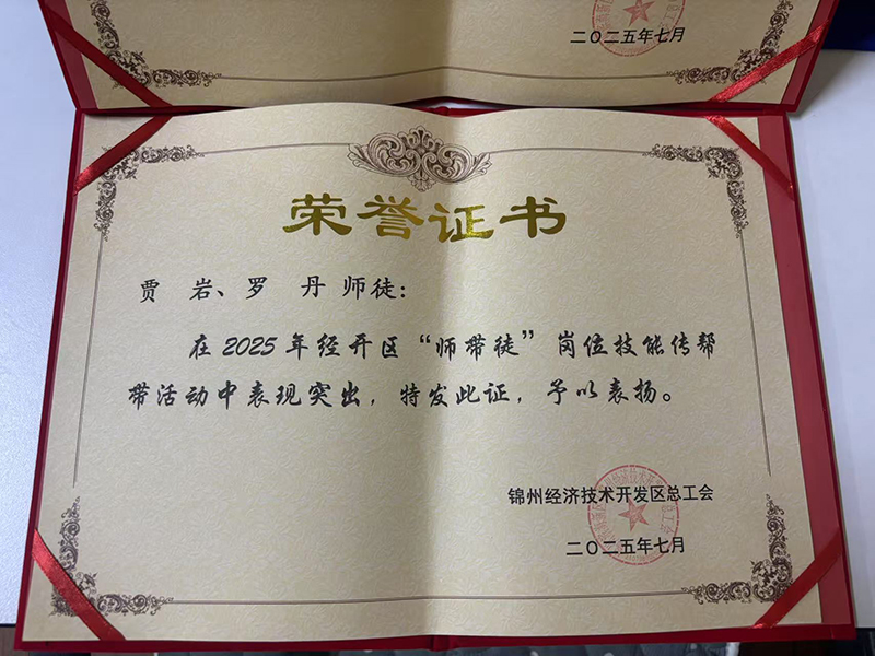 賈巖、羅丹師徒榮獲經(jīng)開區(qū)“師帶徒”崗位技能傳幫帶活動(dòng)表彰